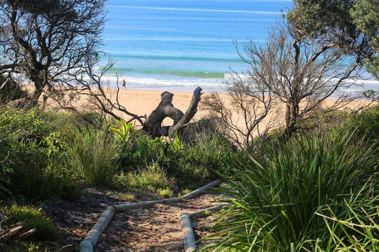Amazing beachfront at your doorstep, Easy access to an amazing surf beach for surfing