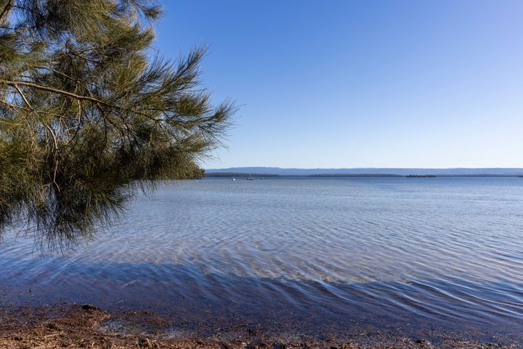 Serendipity Stays Jervis Bay – 5 Mins Walk to Beach