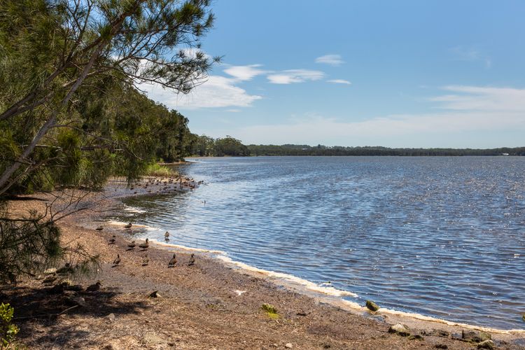 Serendipity Stays Jervis Bay – 5 Mins Walk to Beach