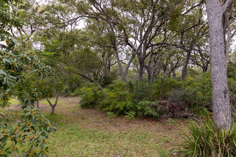 Callala Living – Pet Friendly – 5 Min Walk to Beach