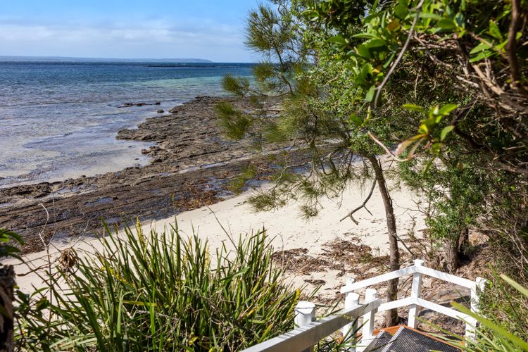 Osprey – Pet Friendly Waterfront