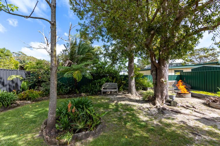 Osprey – Pet Friendly Waterfront