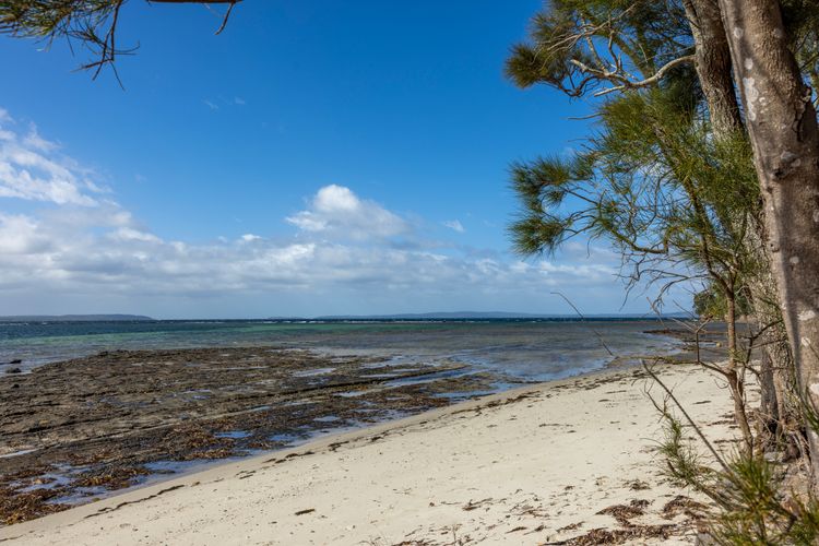 Osprey – Pet Friendly Waterfront