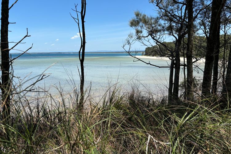 Osprey – Pet Friendly Waterfront