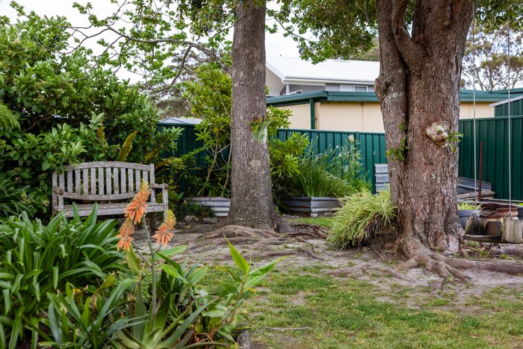 Osprey – Pet Friendly Waterfront