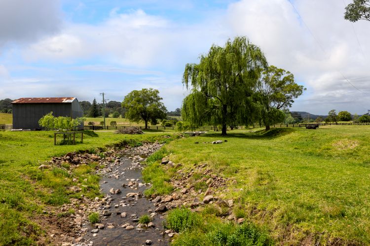 Olive Grove – Pet Friendly with Fireplace