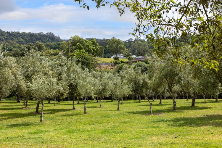 Olive Grove – Pet Friendly with Fireplace