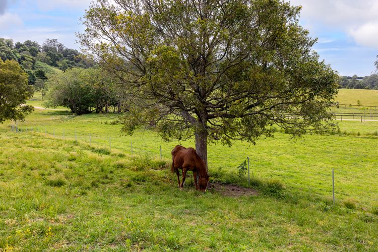 Olive Grove – Pet Friendly with Fireplace