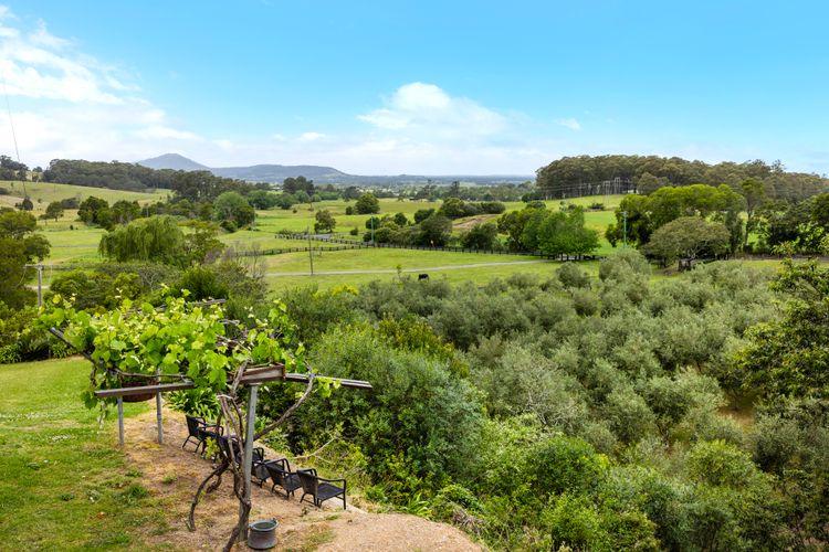 Olive Grove – Pet Friendly with Fireplace