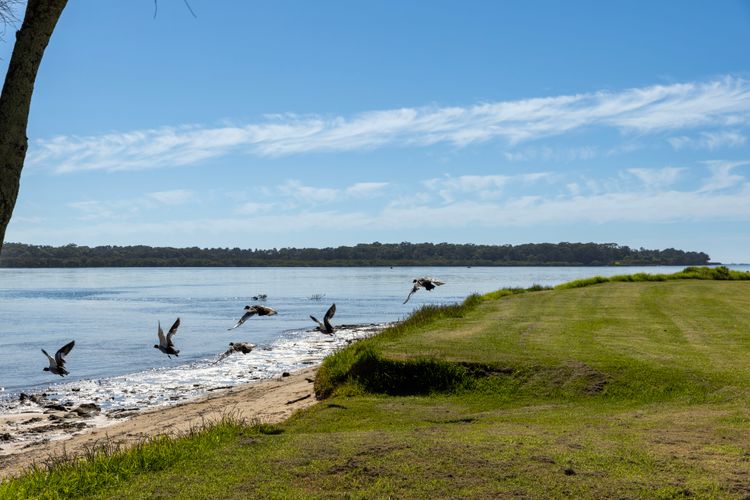 Pelican Retreat – Pet Friendly – Absolute Waterfront