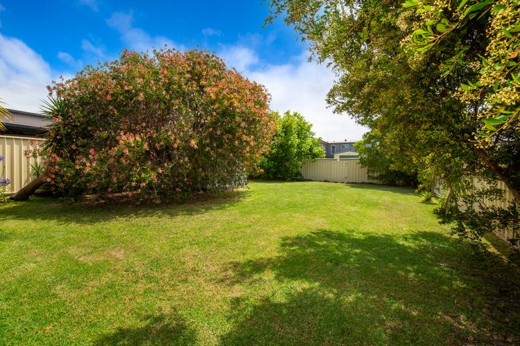 Spacious fully fenced garden with lots of room for kids and dog to play
