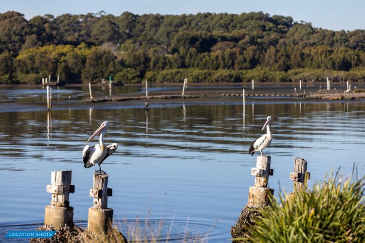 The Little Pelican – 2 Min Walk to Crookhaven River