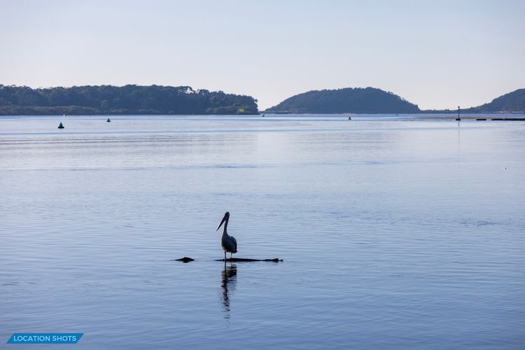 The Little Pelican – 2 Min Walk to Crookhaven River