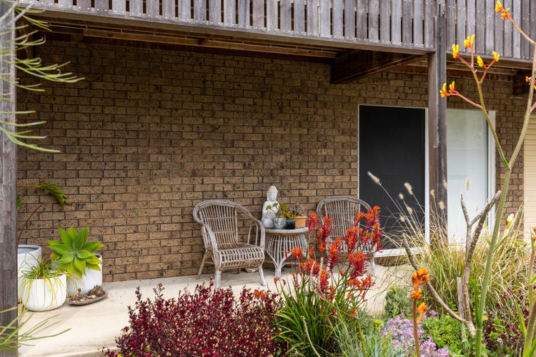 Paws and Palms – Pet Friendly with Fire Pit