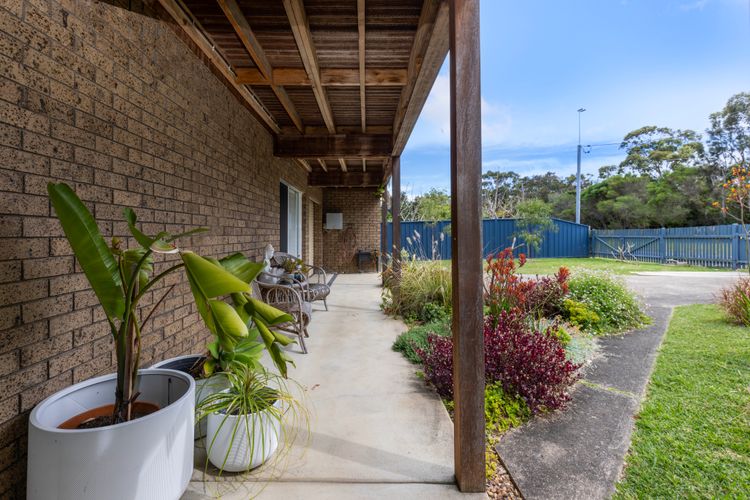 Paws and Palms – Pet Friendly with Fire Pit