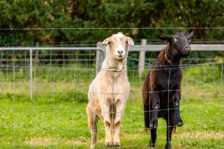 Beautiful farm setting, Surrounded by glorious countryside