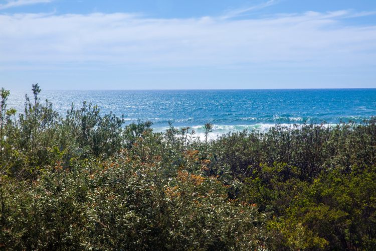 Amazing beachfront at your doorstep, Easy access to an amazing surf beach for surfing
