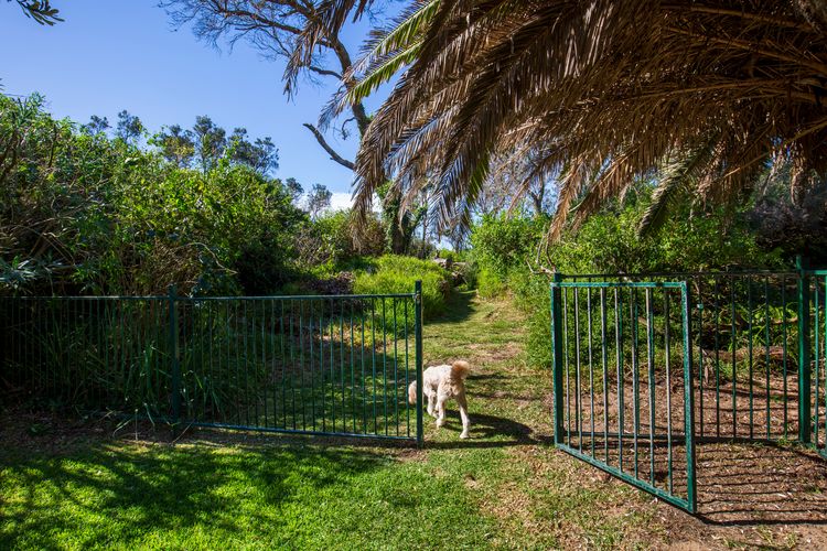 Surfspray – Pet Friendly – Absolute Beachfront