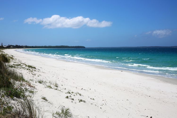 Ginger’s – Pet Friendly – 4 Min Walk to Beach