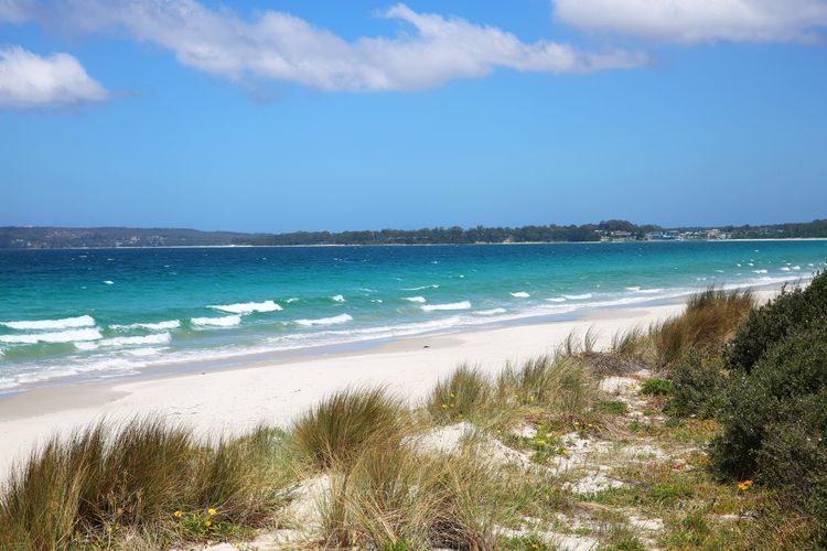 Ginger’s – Pet Friendly – 4 Min Walk to Beach