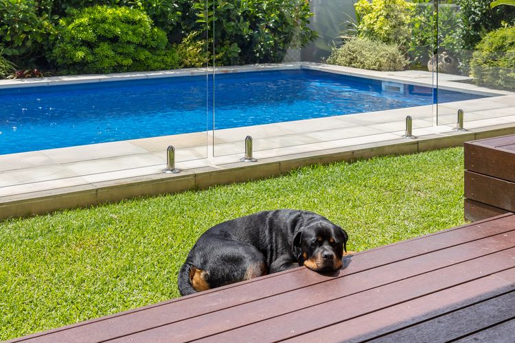 The Doggy Beach House –  with Pool in Pottsville