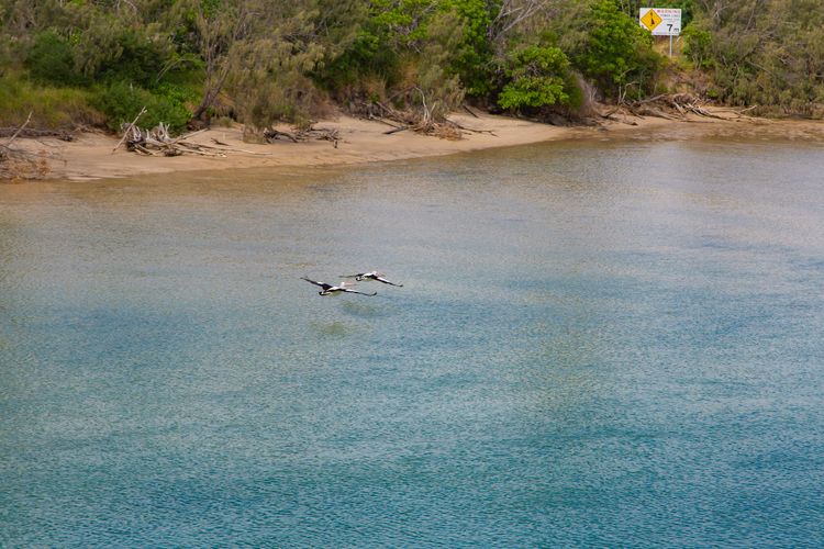 Creekfront Kingscliff Waters 5