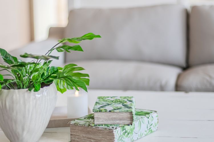 Three Pelicans by the Creek Pottsville– Huge Home