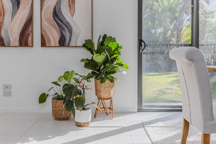 Sunrays Sanctuary – 350m to Beach & Pet-Friendly