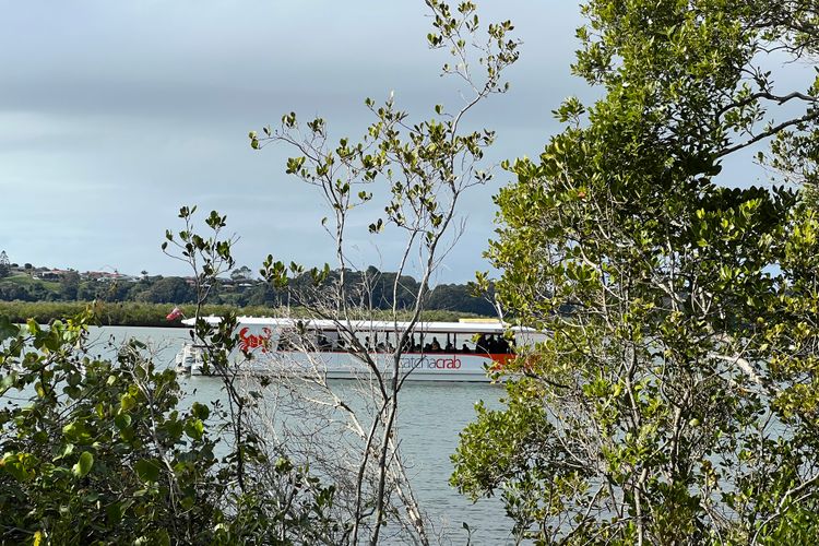 Serenity Escape – Private, Pet-Friendly Home on the Broadwater