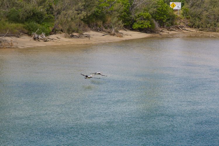 Creekfront Kingscliff Waters 2