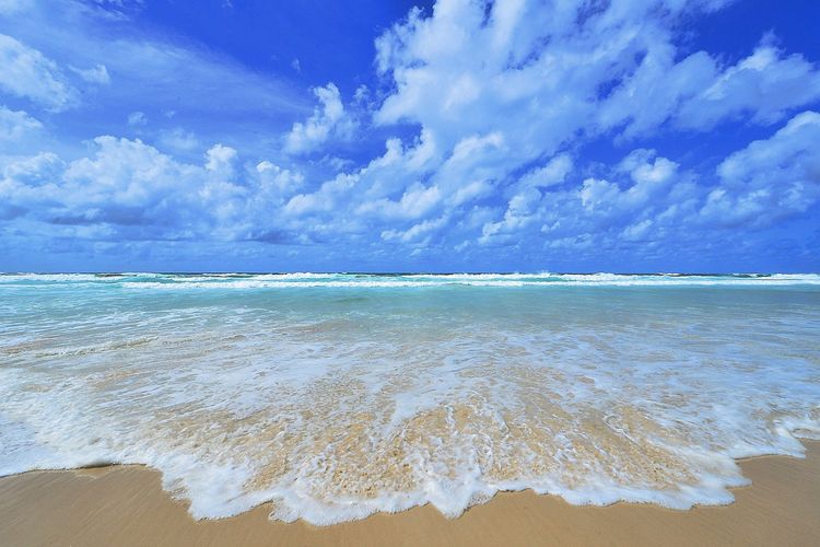 Resort on the Beach 2214/15 with resort Pool