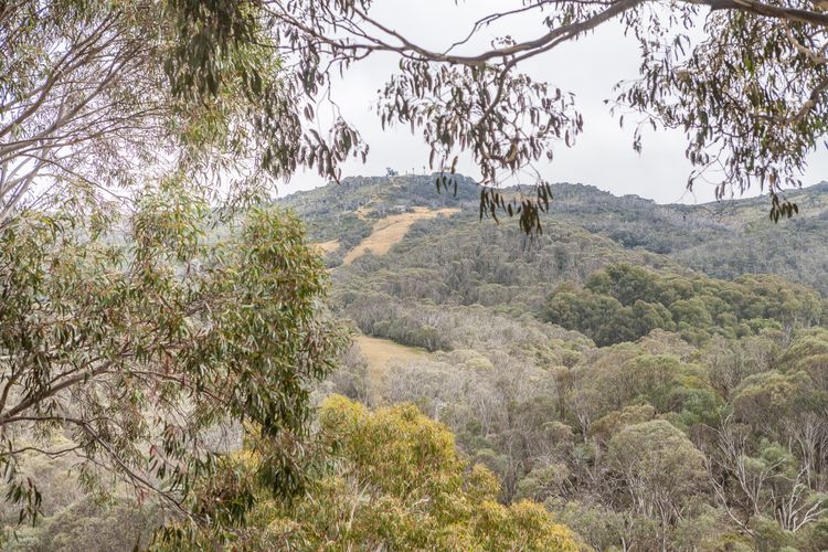 Inala 8 – Thredbo