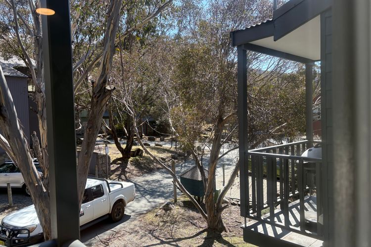 Three Bears 2 – Thredbo