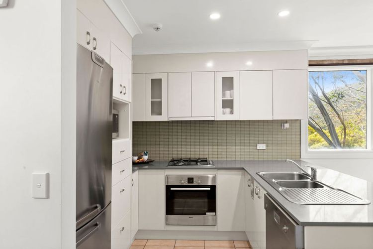 Three Bears 3 – Thredbo