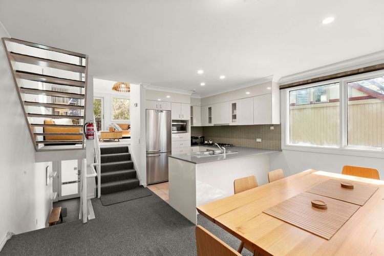 Three Bears 3 – Thredbo