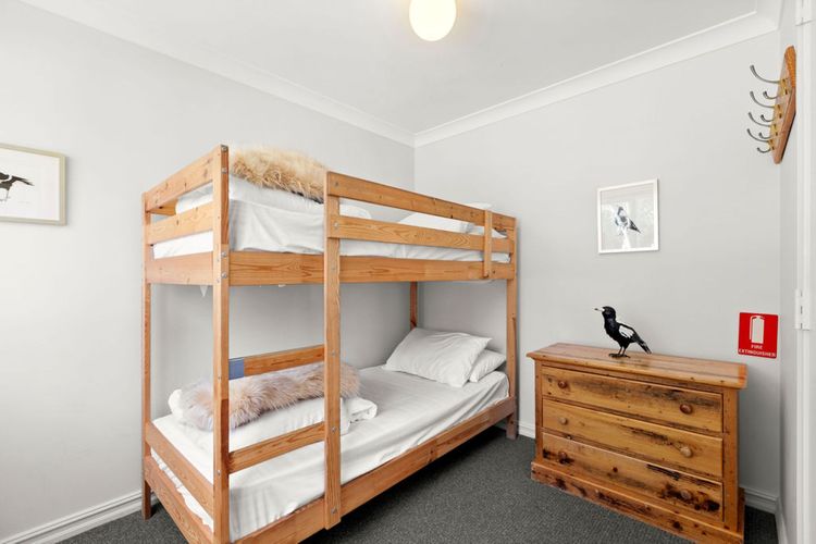 Three Bears 3 – Thredbo