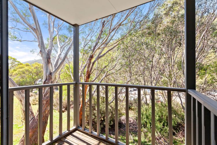 Three Bears 3 – Thredbo