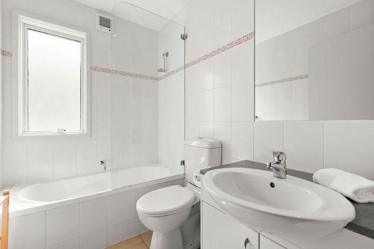 Three Bears 3 – Thredbo