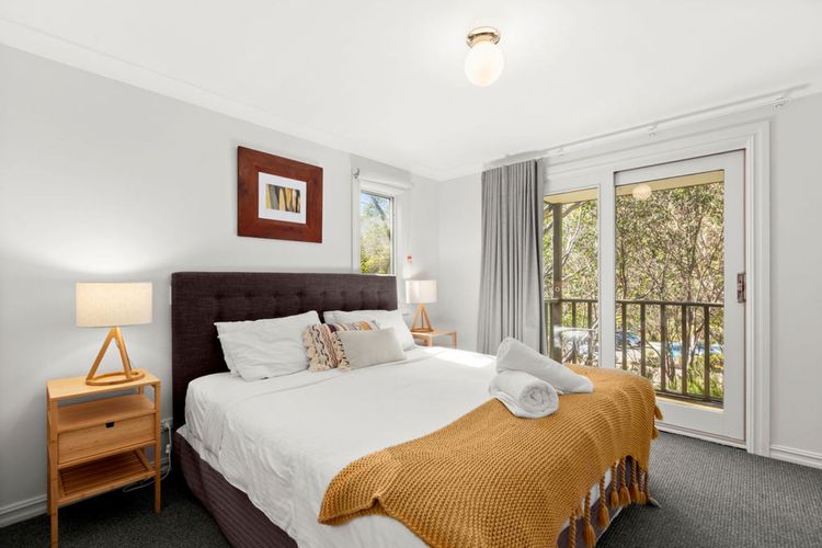 Three Bears 3 – Thredbo