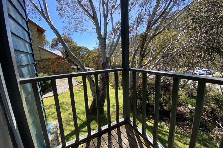 Three Bears 3 – Thredbo
