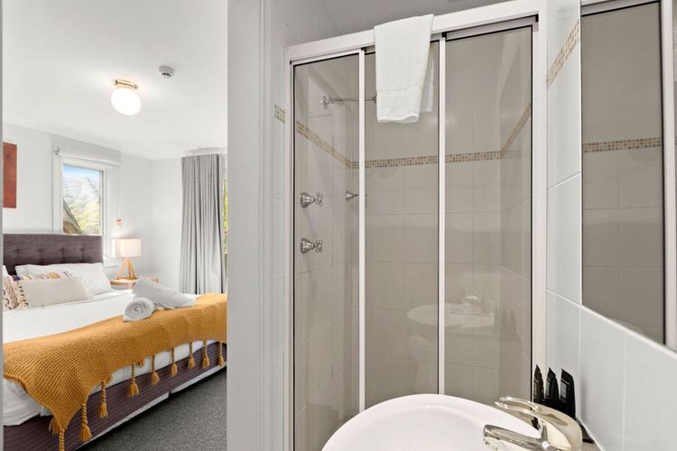 Three Bears 3 – Thredbo