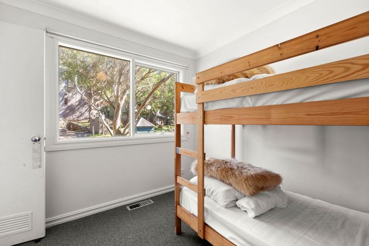 Three Bears 3 – Thredbo