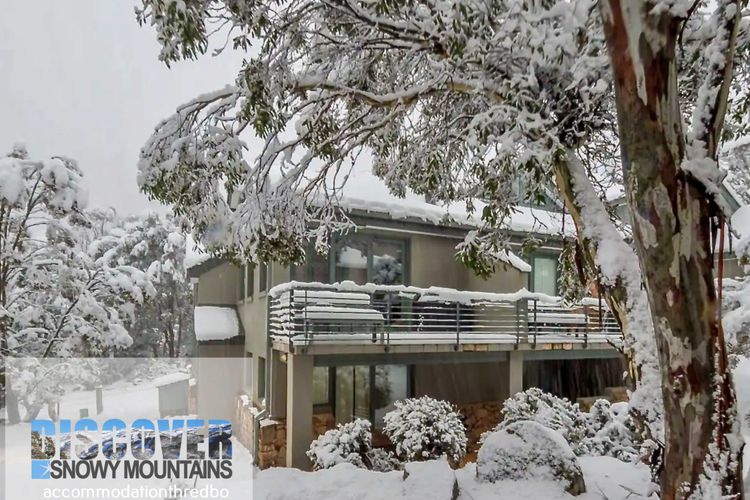 Wintergreen 3 – Thredbo