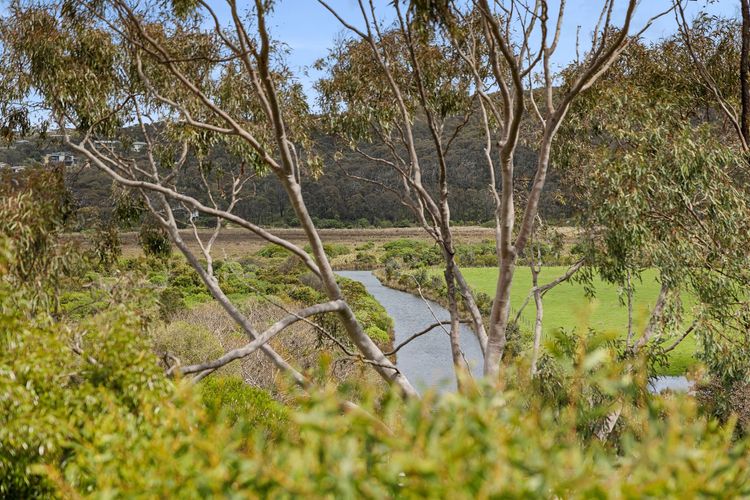 Overlooking Painkalac Creek