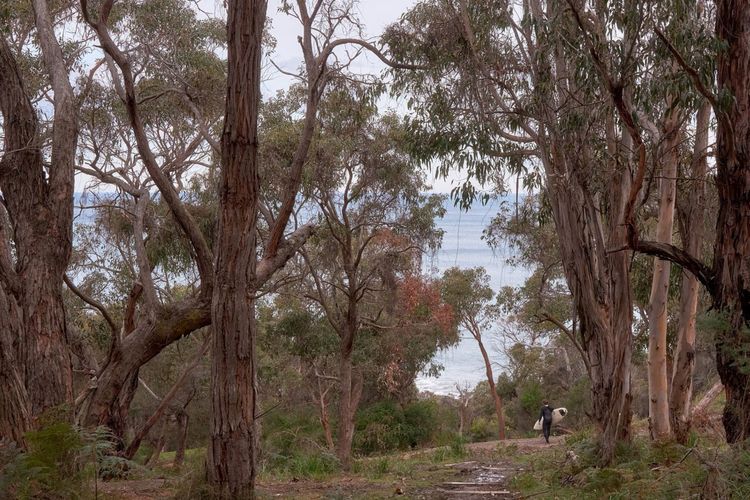 The Artists Beach House