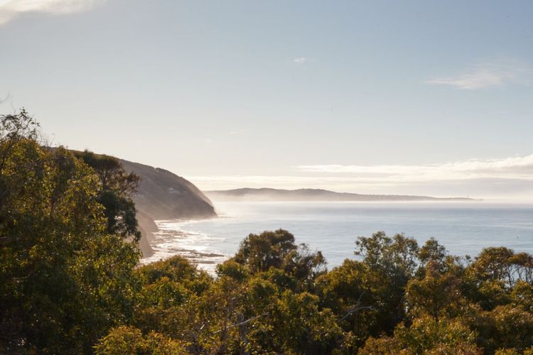 The Artists Beach House