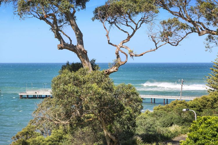 Lorne Beachfront Retreat