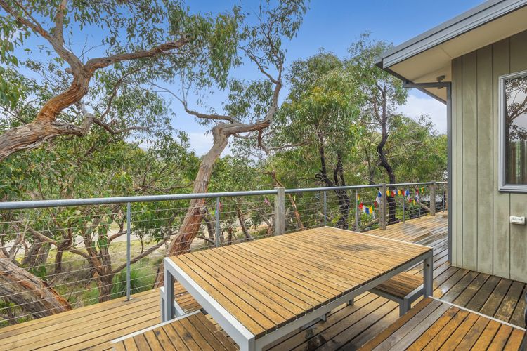 Fairhaven Treetops Lookout