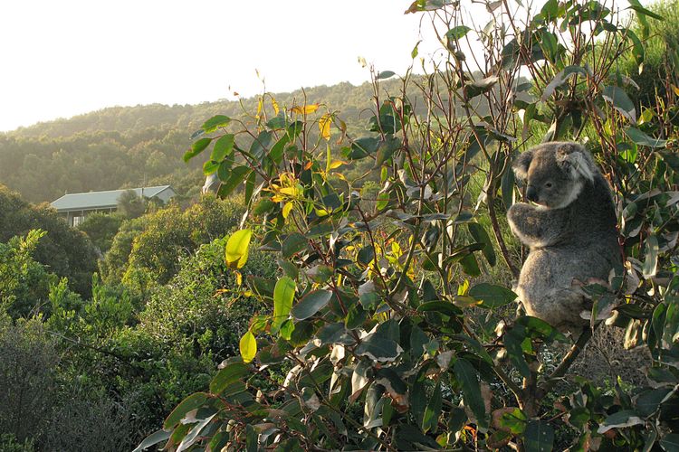 Bennett’s Beach House