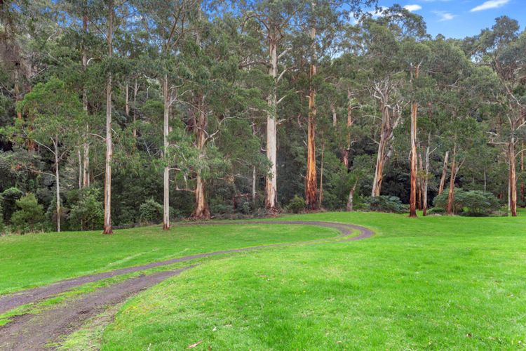 A Little Touch Of Paradise